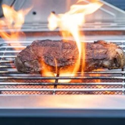 24367 | Stainless Infrared Propane Gas Grill 30 24367 | Stainless Infrared Propane Gas Grill -Monument Grills 24367 stainless infrared propane gas grill4 burner grill24367 7012926