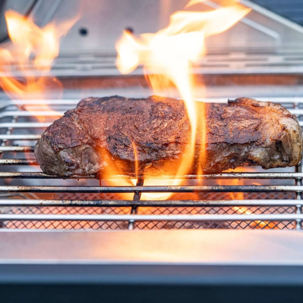 24367 | Stainless Infrared Propane Gas Grill 11 24367 | Stainless Infrared Propane Gas Grill - Image 9