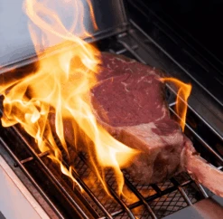 Eminence 405 |Tech Stainless Propane Gas Grill -Monument Grills eminence 405 tech stainless propane gas grill6 burner grilleminence 405 5082803