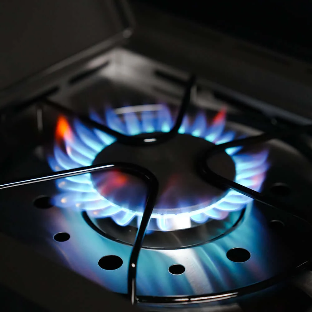 Eminence 425 | Fortified Propane Gas Grill 5 Eminence 425 | Fortified Propane Gas Grill - Image 4