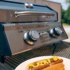 G22 | Stainless Tabletop Propane Gas Grill -Monument Grills g22 stainless tabletop propane gas grilltabletop grillg22 5995240