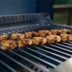 G22 | Stainless Tabletop Propane Gas Grill -Monument Grills g22 stainless tabletop propane gas grilltabletop grillg22 7870724