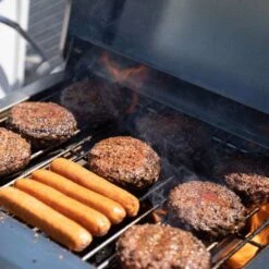 G22 | Stainless Tabletop Propane Gas Grill -Monument Grills g22 stainless tabletop propane gas grilltabletop grillg22 7914094