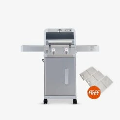 Mesa 200S | Foldable Stainless Gas Grill