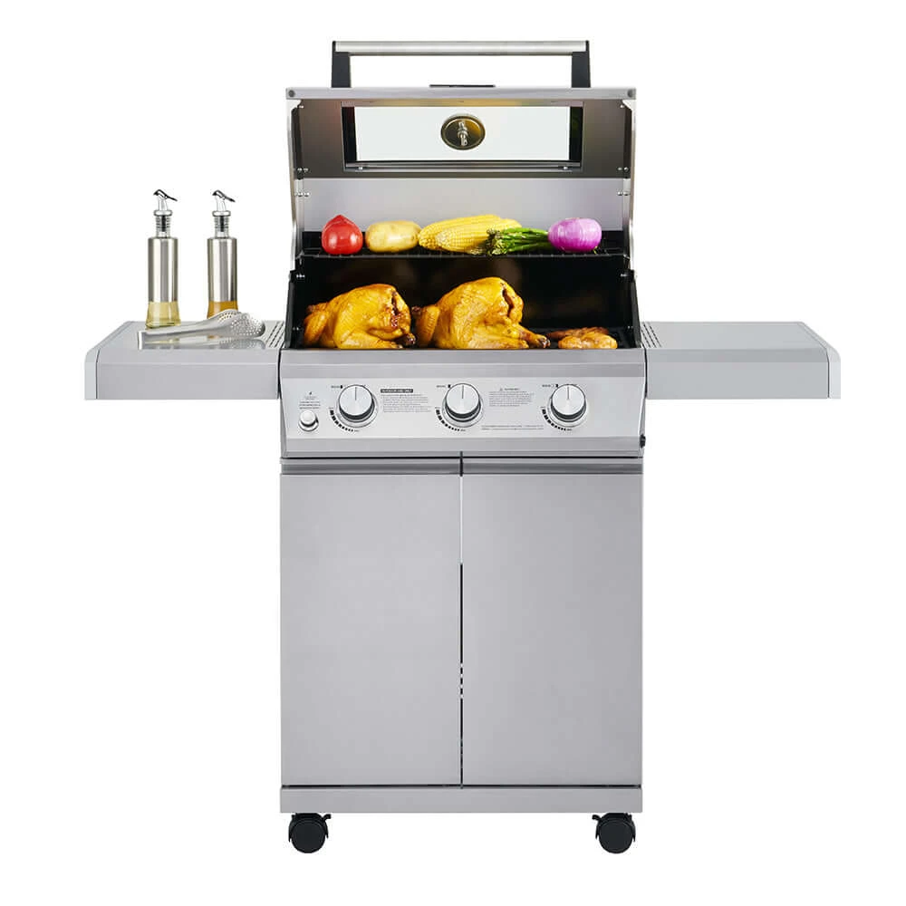 Mesa 300 | Stainless Propane Gas Grill 6 Mesa 300 | Stainless Propane Gas Grill - Image 4